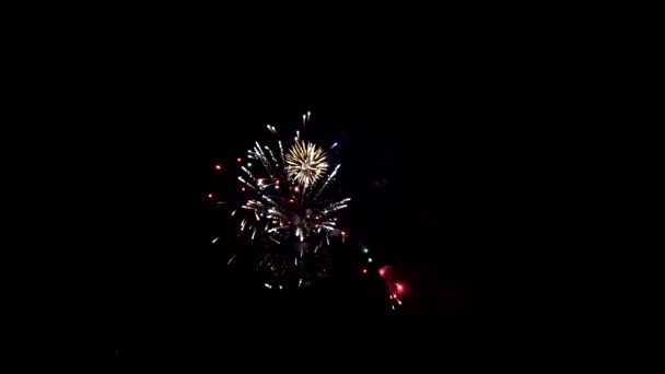 Feuerwerk Juli Boulder Colorado — Stockvideo