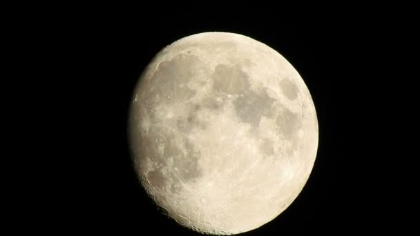 Full Moon Video Luna Corpo Astronomico Che Orbita Attorno Pianeta — Video Stock