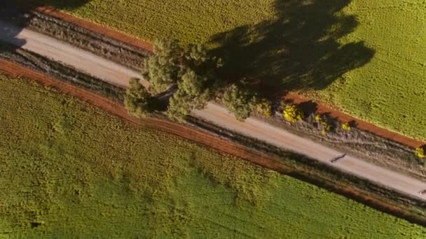 オーストラリアの農村部の未舗装道路に沿ってサイクリストレースの大規模なグループの航空 — ストック動画