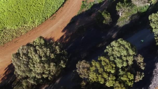 Flygfoto Stor Grupp Cyklister Racing Längs Grusväg Landsbygden Australien — Stockvideo