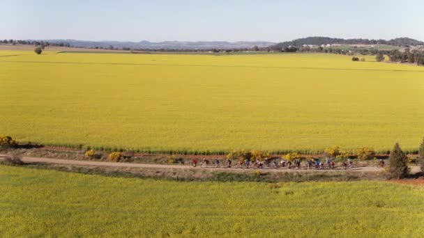 オーストラリアの農村部の未舗装道路に沿ってサイクリストレースの大規模なグループの航空 — ストック動画