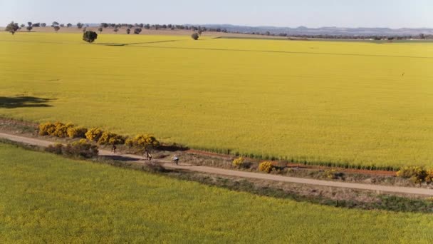 Aéreo Grande Grupo Ciclistas Correndo Longo Estradas Terra Austrália Rural — Vídeo de Stock