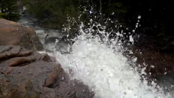 Alberta Falls Parque Nacional Las Montañas Rocosas — Vídeos de Stock