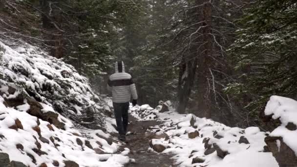 Senderismo Las Montañas Rocosas Durante Una Ventisca — Vídeo de stock