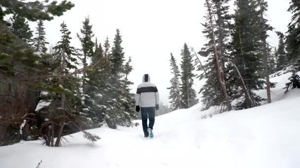 Πεζοπορία Στα Βραχώδη Όρη Κατά Διάρκεια Χιονοθύελλας — Αρχείο Βίντεο