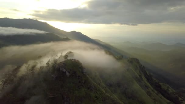 Gyönyörű Forgó Drónfelvétel Adam Csúcsáról Ellában Srí Lankán — Stock videók