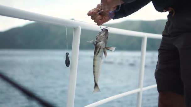 Barca Pescatore Tiene Pesce Catturato Appeso Gancio Primo Piano — Video Stock