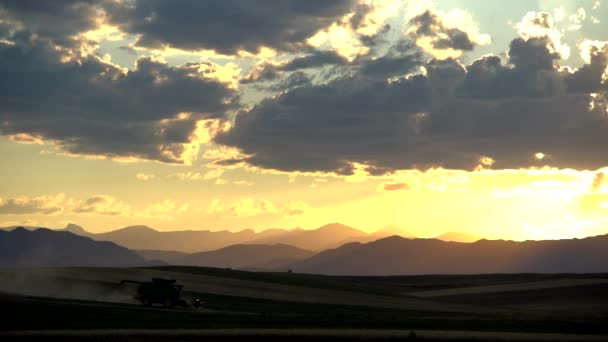 Збирання Врожаю Сільській Місцевості Колорадо Тлі Гір Заходу Сонця — стокове відео