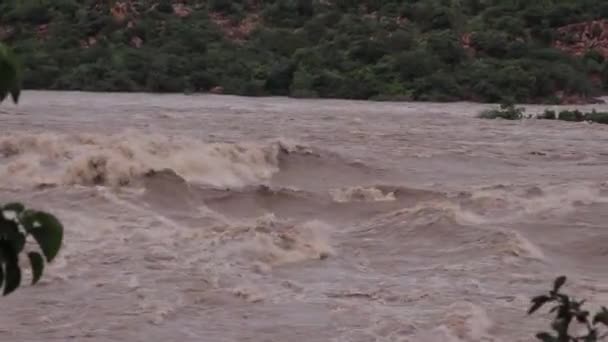 지대에서는 폭우가 범람하고 있습니다 인도의 카르나타카 — 비디오