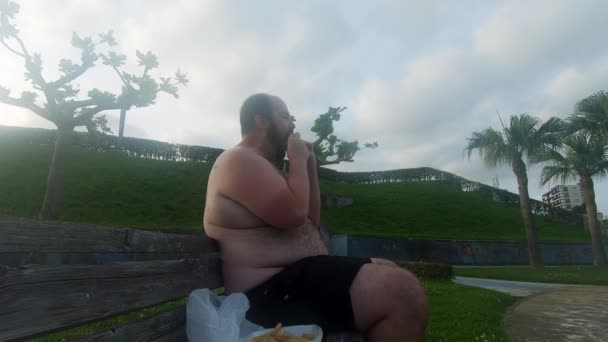 Obese Man Bijt Een Hamburger Dan Wrijft Zijn Dikke Harige — Stockvideo