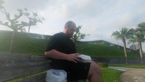 Fat Caucasian Slob Eating Burger Chips Alone Park Bench Unhealthy — Stock Video