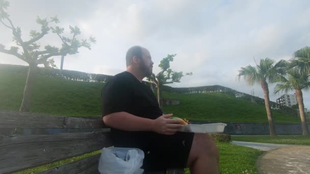 Homem Caucasiano Gordo Comer Batatas Fritas Sozinho Num Banco Parque — Vídeo de Stock