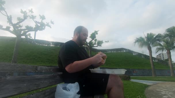 Unfit Man Contributing His Poor Health Eating Burger Alone Park — Stock Video