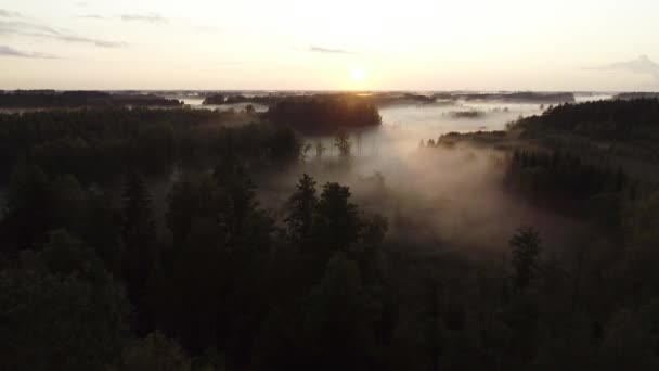 Volo Sopra Nebbia Del Tramonto Ore Oro Dopo Pioggia — Video Stock