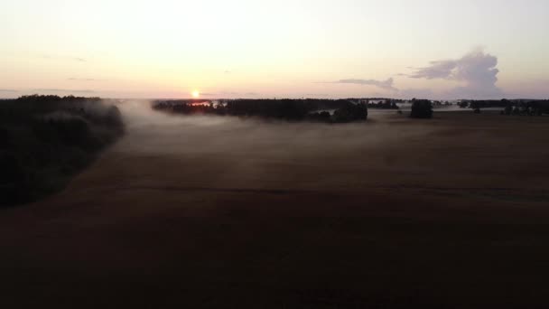 Vuelo Sobre Niebla Del Atardecer Hora Dorada Después Lluvia — Vídeo de stock