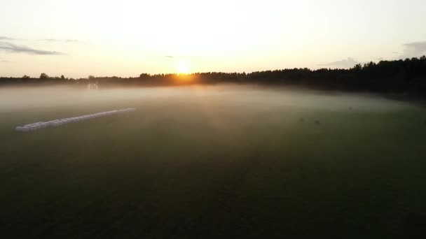 Flyg Över Solnedgången Dimma Gyllene Timme Efter Regn — Stockvideo