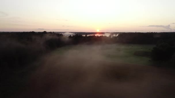 Vlucht Boven Zonsondergang Mist Gouden Uur Regen — Stockvideo