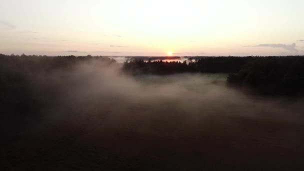 Πτήση Πάνω Από Ομίχλη Ηλιοβασίλεμα Χρυσή Ώρα Μετά Βροχή — Αρχείο Βίντεο