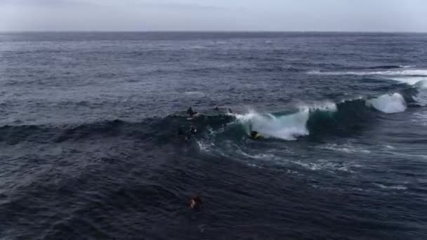 Suivi Aérien Groupe Surfeurs Bodyboarders Chevauchant Des Vagues Près Rocks — Video