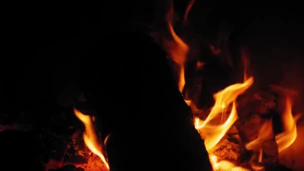 Burning Flame Fireplace Wooden Logs Medium Shot Yule Log Burning — Stock Video