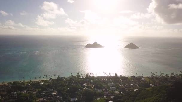 Piękna Hawajska Plaża Wychodząca Spacer Kilkoma Pudełkami Pigułki Samej Górze — Wideo stockowe