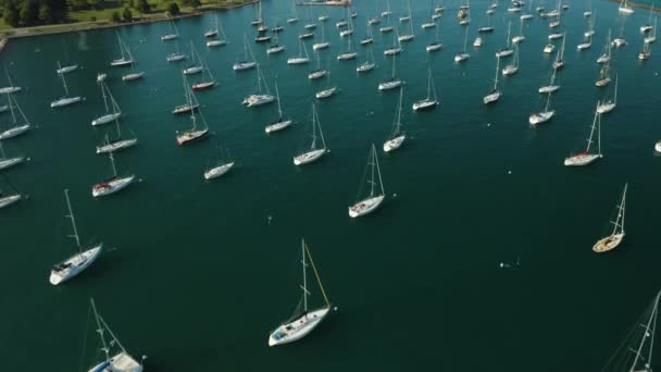 Revelação Aérea Cais Marinha Chicago Durante Verão — Vídeo de Stock