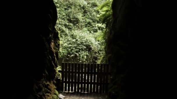 Câmera Sai Caverna Escura Inclina Revelando Floresta Terreno Mais Elevado — Vídeo de Stock