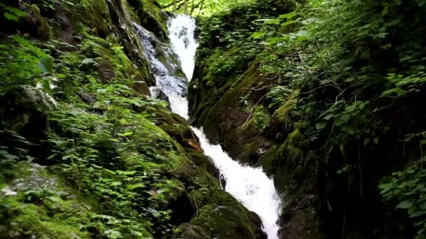 Vista Panorámica Una Cascada Estrecha Que Cae Cascada Sobre Rocas — Vídeo de stock