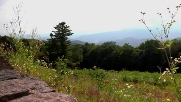 Güzel Bir Dağ Çayırı Vadi Tepelerin Geniş Manzarası Önplanda Kır — Stok video
