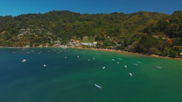 Gelegen Aan Noordoostelijke Punt Van Tobago Het Vissersdorp Charlotteville Perfecte — Stockvideo