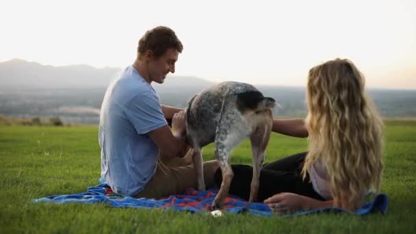 拍了一个可爱的男朋友和女朋友躺在毛毯上 一边在草地上野餐一边和他们的宠物狗玩耍 — 图库视频影像