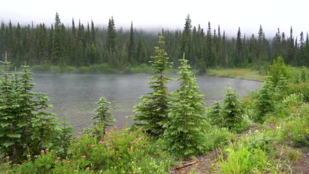 Fondo Lago Brumoso Uno Principal Atracción Turística Rainier Reflection Lakes — Vídeo de stock