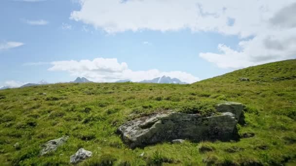 Dryckeflight Över Schweiziska Alpina Ängar Solig Sommardag Avslöjar Bergstopparna — Stockvideo