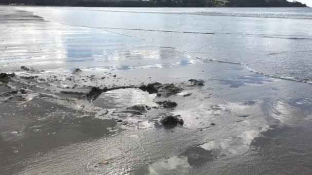 Onda Mar Fluindo Suavemente Longo Praia Buraco Areia Durante Dia — Vídeo de Stock