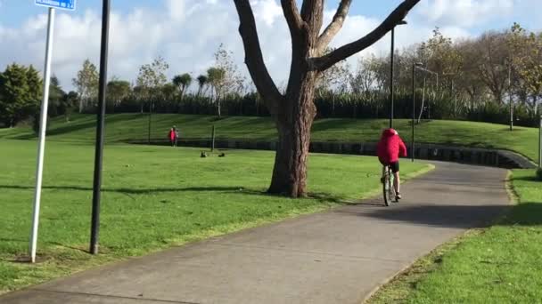 Rowerzysta Noszący Czerwone Rowery Skoczkowe Wzdłuż Betonowej Ścieżki Parku Ciągu — Wideo stockowe