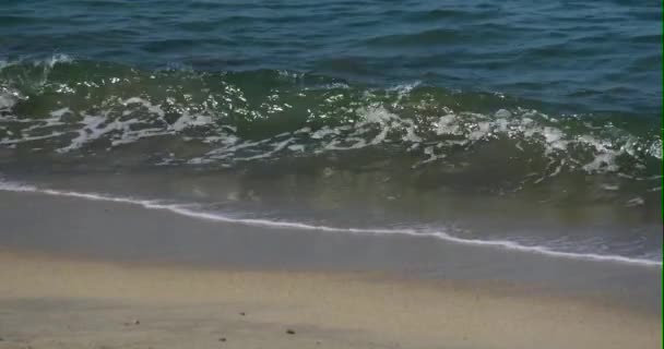 墨西哥Bucerias海滩平静的海浪冲撞 — 图库视频影像