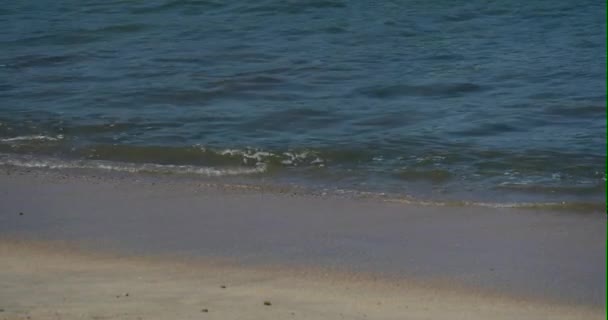 海浪平息了海滩上的碰撞 — 图库视频影像