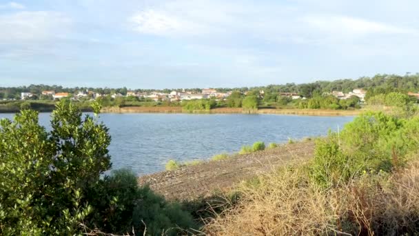 Vue Moyenne Bassin Protection Contre Les Inondations Océaniques Face Village — Video