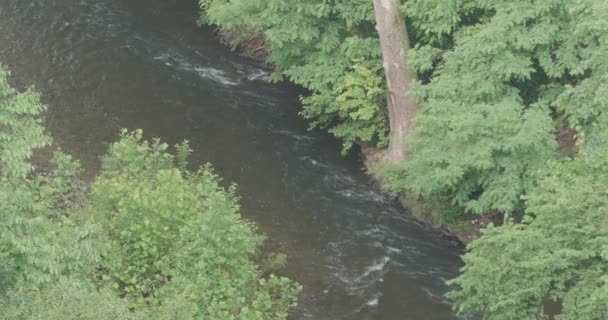 Sudut Tinggi Ditembak Dari Sungai Wissahickon Dari Henry Ave Bridge — Stok Video