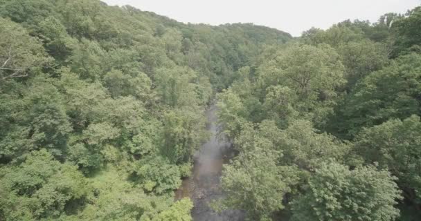 Lapso Tempo High Wide Shot Wissahickon Creek Ponte Walnut Lane — Vídeo de Stock