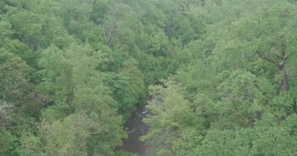 Ψηλή Βολή Στο Wissahickon Creek Από Γέφυρα Walnut Lane — Αρχείο Βίντεο