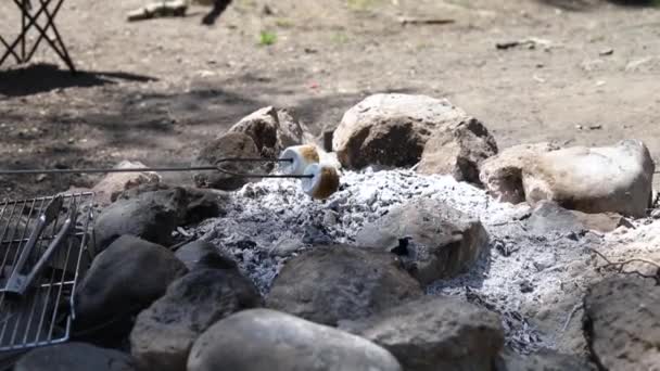 Shot Dari Seseorang Memanggang Emas Coklat Marshmallow Pada Tusuk Besi — Stok Video