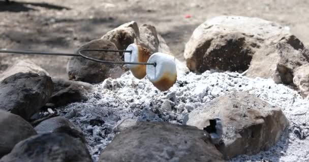 Schot Van Iemand Die Een Metalen Spies Gebruikt Twee Marshmallows — Stockvideo