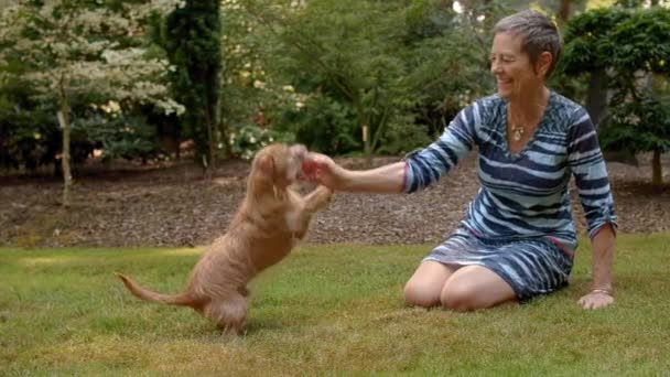 上了年纪的女人和可爱的小狗在公园打篮球 — 图库视频影像