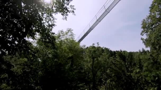 Fotografia Uma Ponte Suspensa Sobre Desfiladeiro Arborizado Monthey Suíça — Vídeo de Stock