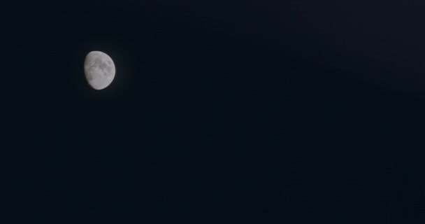 Lune Par Une Nuit Été Sombre Avec Grain Déplaçant Lentement — Video