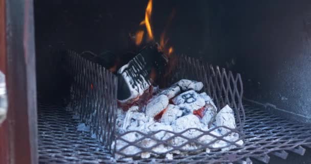 Ein Holzklotz Und Holzkohlebriketts Einem Abgestellten Raucher Zum Grillen Brand — Stockvideo