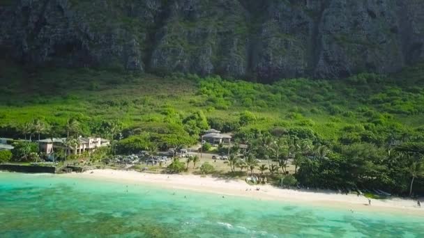Hawaii Adası Oahu Daki Kaiona Sahil Parkı Rüzgarın Olduğu Tarafta — Stok video