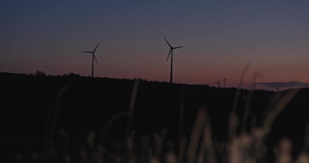 Panorama Pinewheels Por Noche Sobre Paisaje Iluminado Por Última Luz — Vídeos de Stock
