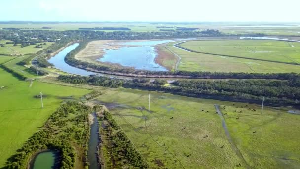 Vista Aérea Sobre Los Campos Agrícolas Inundados Largo Del Río — Vídeos de Stock